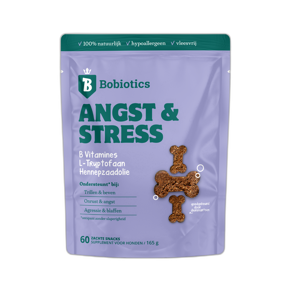 Angst & Stress